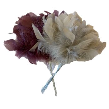 Rosa fjær, 2 farger