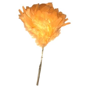 Fjærbunt, oransje