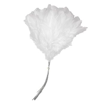 Fjærbunt, hvit