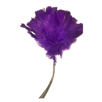 Fjærbunt, mørk lilla