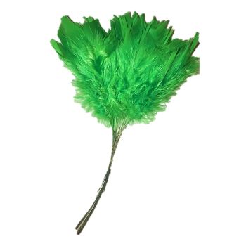 Fjærbunt, lys grønn