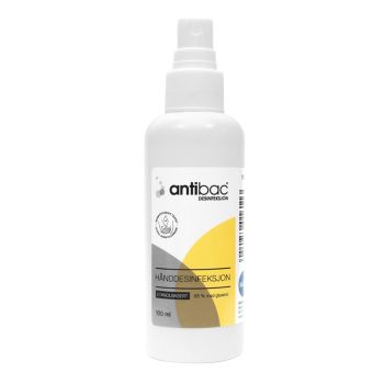 Antibac 100 ml spray, 24PK